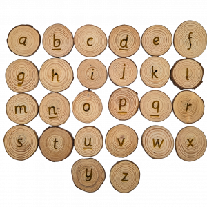 Phonics Disks