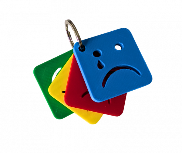 Zones of Regulation keyring