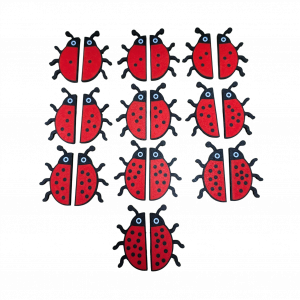 Ladybird Subitising pairs